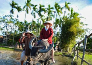 Vietnam Like a Local – Private Tour 14 days