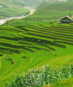 North East Vietnam In Depth 16 - 20 Days